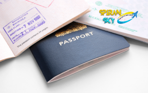 20 Adorable Passport Holders for Ladies 