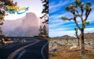 Take a day trip from LA or SD to Joshua Tree National Park