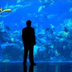 9 Of The Best Aquariums In Las Vegas