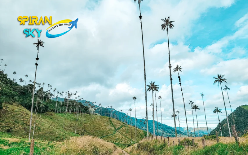A Detailed 2022 Guide To the Cocora Valley Hike in Colombia