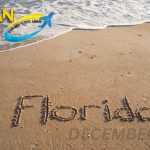 Florida in December